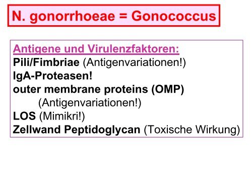 Pseudomonas aeruginosa