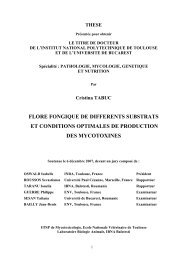 Flore fongique de differents substrats et conditions optimales de ...