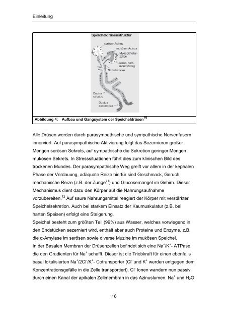 Prof. Dr. med. dent. Bernd Klaibe - OPUS - Universität Würzburg