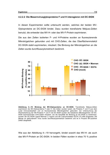 Interaktion von Masernviren mit Dendritischen Zellen - OPUS ...