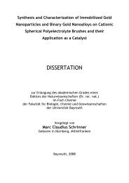 DISSERTATION - OPUS Bayreuth - Universität Bayreuth