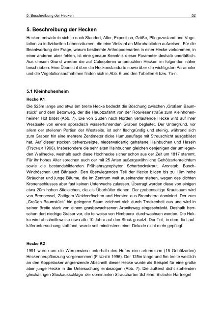 Dokument 1.pdf - Universität Hohenheim