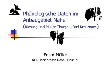 Phänologische Daten bei Riesling und Müller-Thurgau an ... - FDW