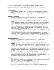 Testing for expression and solubility in e coli - people