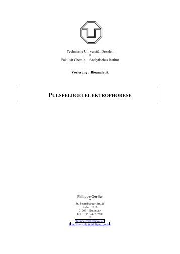 Pulsfeld-Elektrophorese - Voila.fr