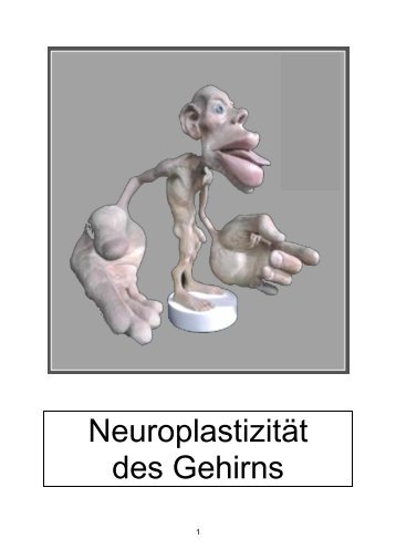 Neuroplastizität des Gehirns - Formatio