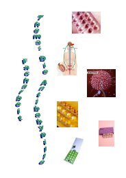 Facharbeit Teil 1 - Formatio