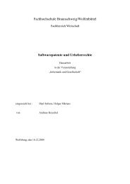 Fachhochschule Braunschweig/Wolfenbüttel Softwarepatente und ...