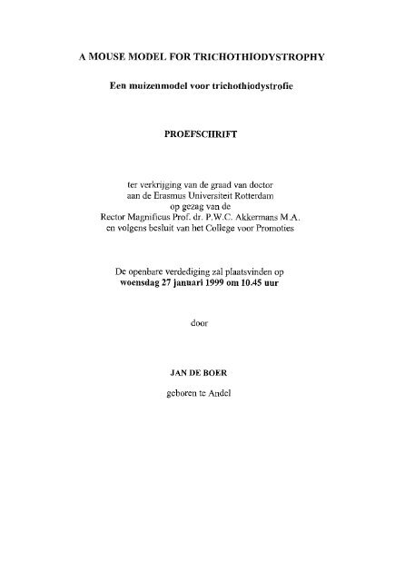 View PDF Version - RePub - Erasmus Universiteit Rotterdam