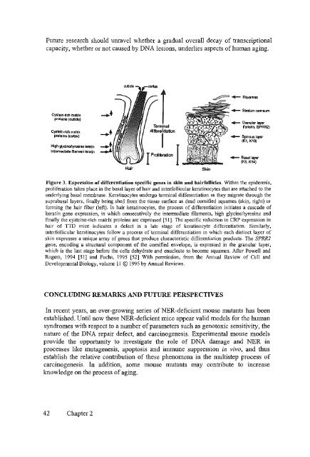 View PDF Version - RePub - Erasmus Universiteit Rotterdam