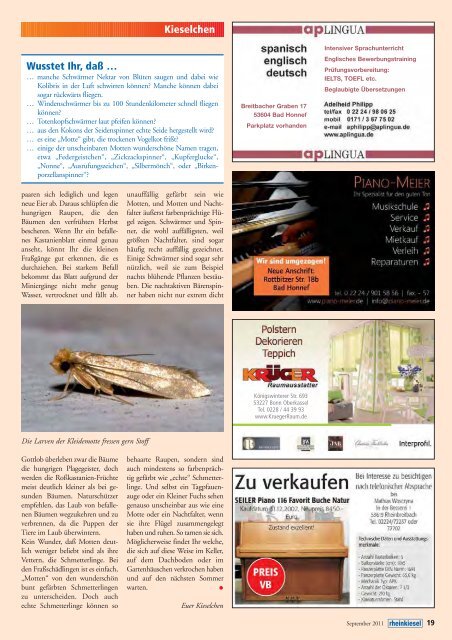 Ausgabe lesen - Rheinkiesel