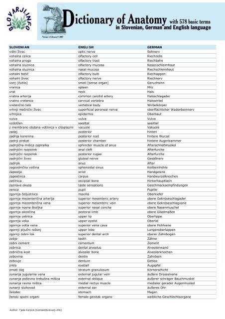 Dictionary of Anatomy with 578 basic terms - Slovarji.info