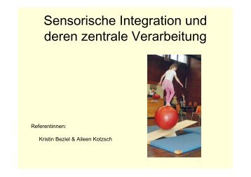 Sensorische Integration und deren zentrale Verarbeitung