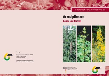 Arzneipflanzen [Download,*.pdf, 5,73 MB] - Landwirtschaft in Sachsen