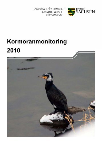 Kormoranmonitoring 2010 - Landwirtschaft in Sachsen - Freistaat ...