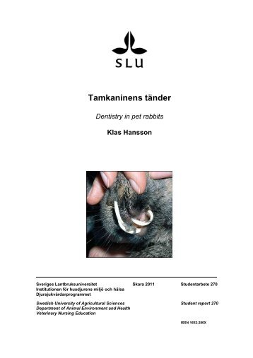 RAPPORTENS TITEL I HELVETICA 20 FET VERSALER - SLU