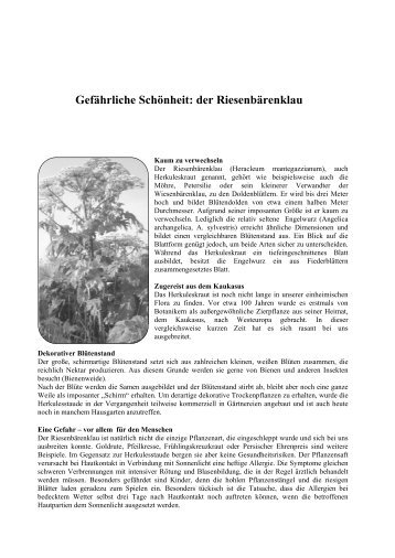 Gefhrliche_Schnheit.pdf - Taspo