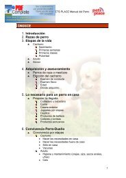 PERRO (PETS PLACE MALLORCA)