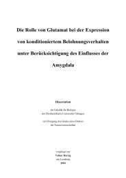 Hanzi Concept And Computation Tobias Lib Universitat Tubingen