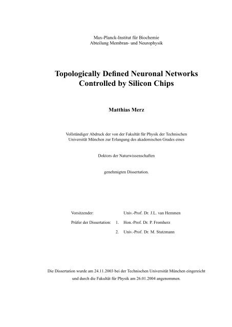 Topologically Defined Neuronal Networks Controlled by Silicon Chips