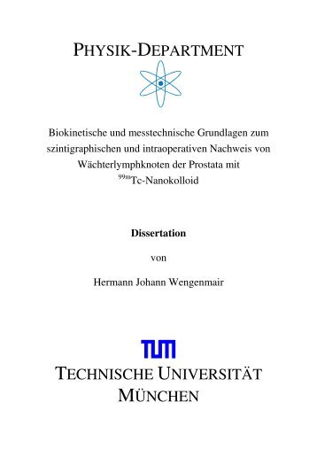 Thesis - Tumb1.biblio.tu-muenchen.de