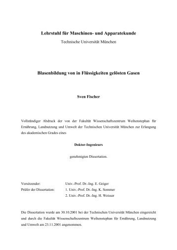 Theorie der Blasenbildung - Tumb1.biblio.tu-muenchen.de ...