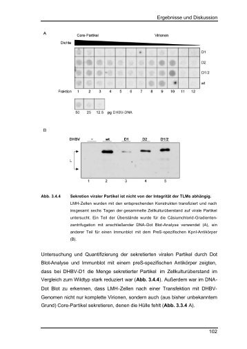 Ergebnisse und Diskussion 102 Untersuchung und ... - tuprints