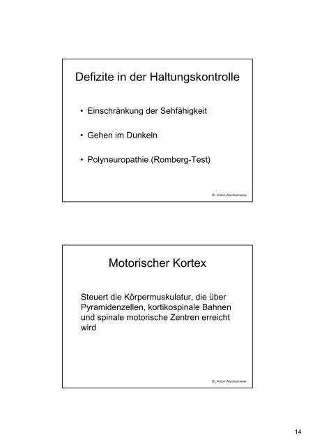 Motorisches System