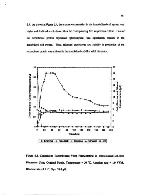 bioreactor studies of heterologous protein production by ...