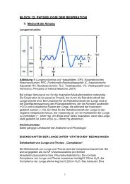 Skriptum Bl 12 Physiol d Respiration.pdf