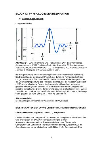 Skriptum Bl 12 Physiol d Respiration.pdf