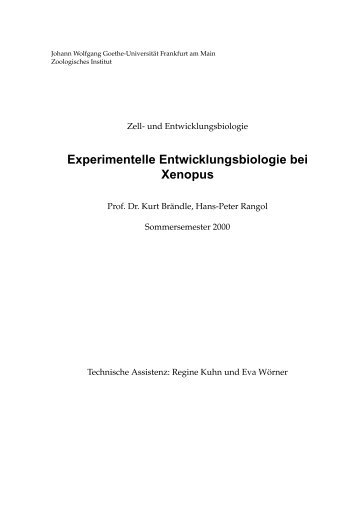 Experimentelle Entwicklungsbiologie bei Xenopus - Goethe ...