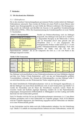 41 5 Methoden 5.1 Die biochemischen Methoden 5.1.1 ... - GWDG