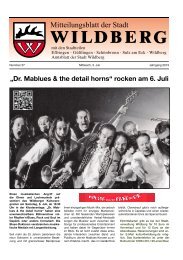 „Dr. Mablues & the detail horns“ rocken am 6. Juli - Wildberg