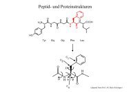 Peptid- und Proteinstrukturen