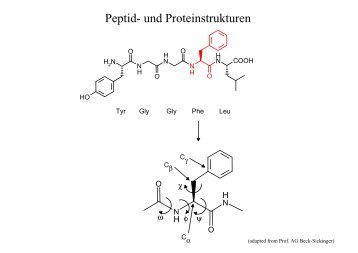 Peptid- und Proteinstrukturen