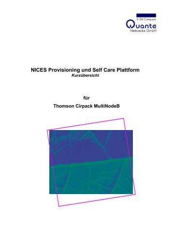 NICES Kurzübersicht - 3M Services GmbH