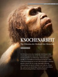 KNOCHENARBEIT - Abenteuer Philosophie