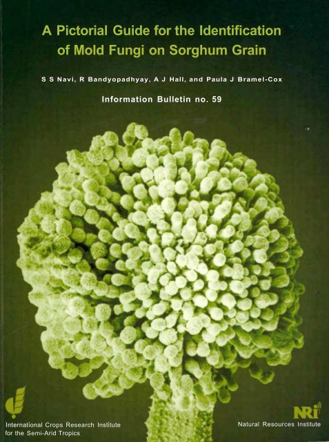 A Pictorial Guide for the Identification of Mold ... - OAR@ICRISAT