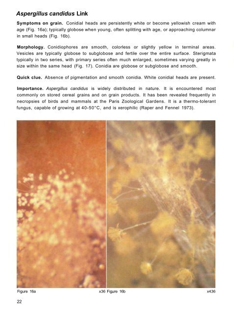 A Pictorial Guide for the Identification of Mold ... - OAR@ICRISAT