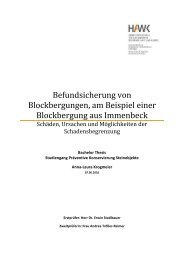 Befundsicherung von Blockbergungen, am Beispiel einer ...