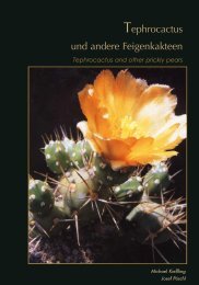 Tephrocactus und andere Feigenkakteen - Bibliothèque numérique ...