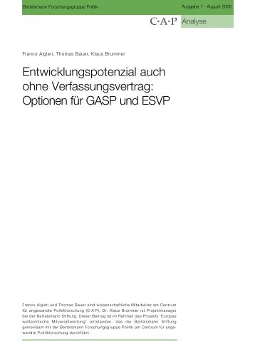 Entwicklungspotenzial auch ohne Verfassungsvertrag: Optionen für ...