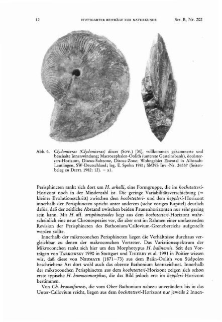 Stuttgarter Beiträge zur Naturkunde