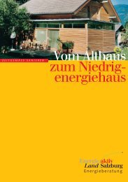 pdf-vom_althaus_zum_niedrigenergiehaus (1,49 MB)