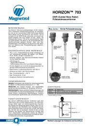 HORIZON™ 703 - Magnetrol International