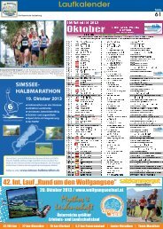 アイアンマン マーク85 -《I AM IRON MAN》 EDITION- Die Bayerische Laufzeitung 2015
