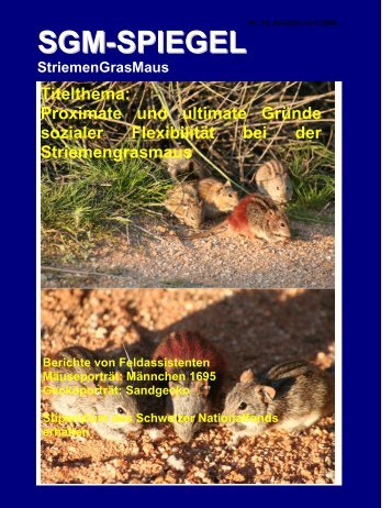 SGM-SPIEGEL - Striped Mouse