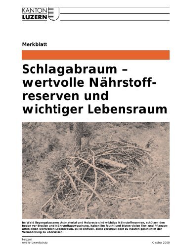 Merkblatt Schlagabraum - Abfall.ch