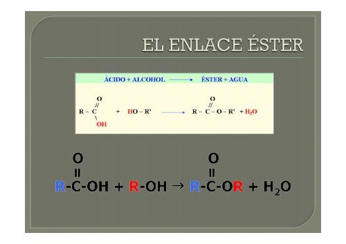 1Âº bachillerato